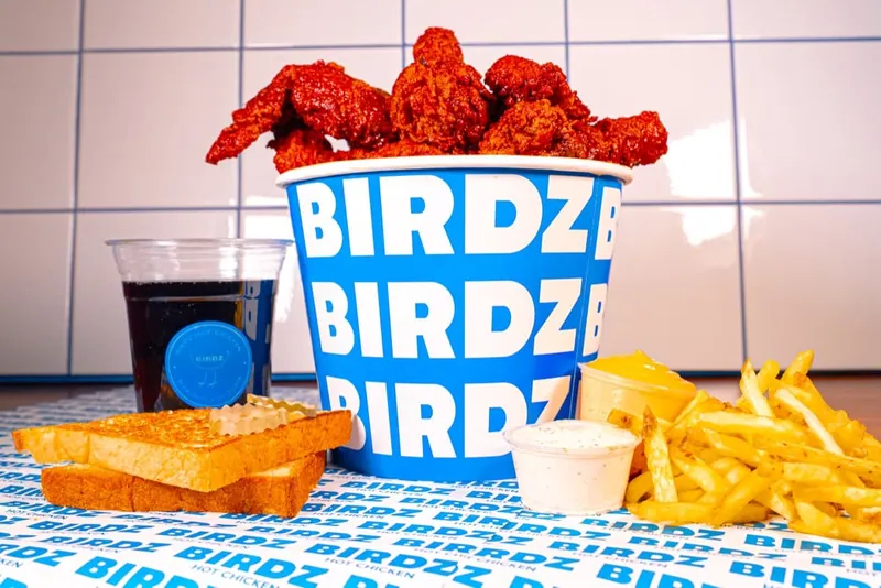 Birdz — visuel 3