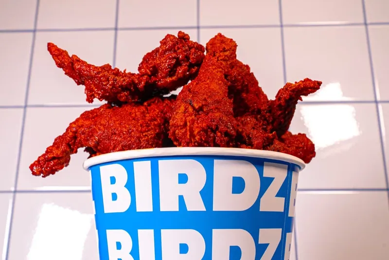 Birdz — visuel 4