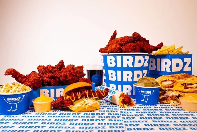 Birdz — visuel 16